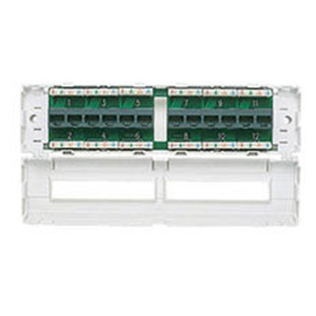 ALLEN TEL Electrical Box, Modular Cat 5E Patch Panel Box, 12-Port AT55B-12P